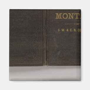 Gebied Montana Magneet