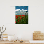 Gebied papaver II Poster (Keuken)