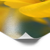 Gebied van bloeiende papaver foto afdruk (Hoek)