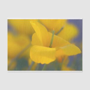 Gebied van bloeiende papaver tissuepapier