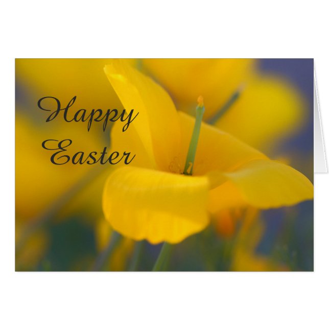 Gebied van bloeiende papies Happy Easter (Voorkant Horizontaal)