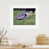 Gebied van de Grote Blauwe Reiger Poster (Keuken)