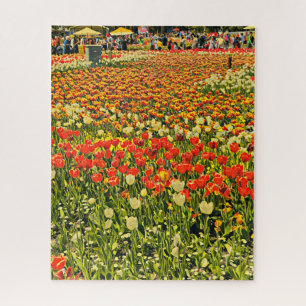 Gebied van de tulpenpuzzel legpuzzel
