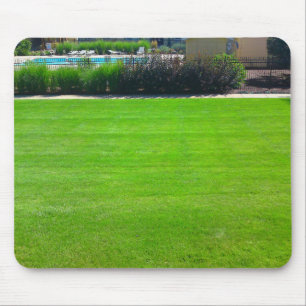 Gebied van Groene Grass Mousepad Muismat