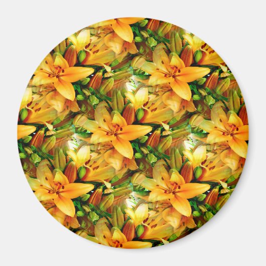 Gebied van Lelies..... Magneet (Voorkant)