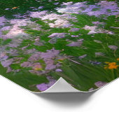 Gebied van Majestic Colors Poster (Hoek)