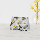 Gebied van Margrieten Kaart (Gele Bloem)