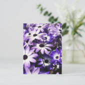 Gebied van Paarse Briefkaart (Staand voorkant)