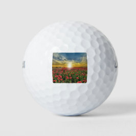 Gebied van rode bloemen op zonsondergang golfballen