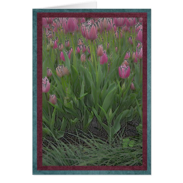 Gebied van roze tulpen (Voorkant)