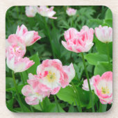 Gebied van roze tulpen bier onderzetter (Voorkant)