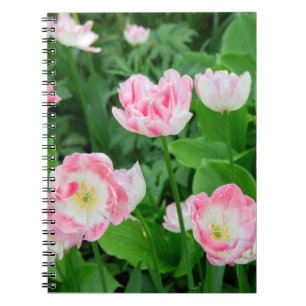 Gebied van roze tulpen notitieboek