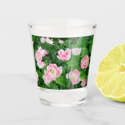 Gebied van roze tulpen shot glas (Voorkant)