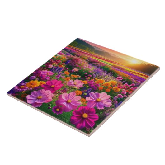 Gebied van straling tegeltje (Zijkant)