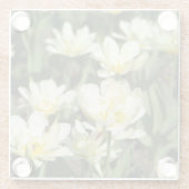 Gebied van witte tulpen Foto Glazen Onderzetter (Achterkant)