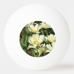 Gebied van witte tulpen Foto Pingpongballen