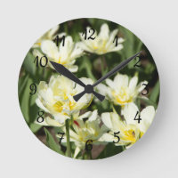 Gebied van witte tulpen Foto