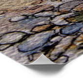 gebleekt poster (Hoek)