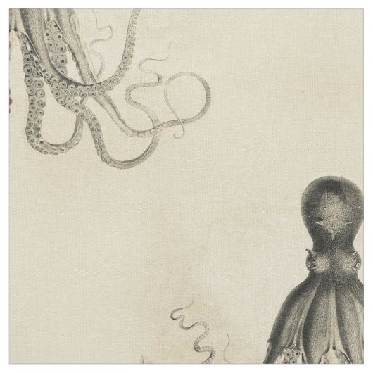 Gebleken octopus stof (Close Up)