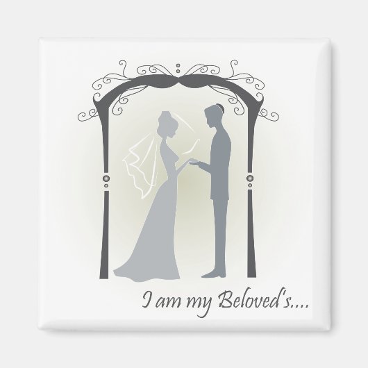 gebogen magneet (Voorkant)