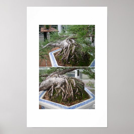 gebogen poster (Voorkant)