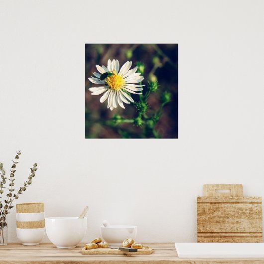 gebogen poster (Keuken)