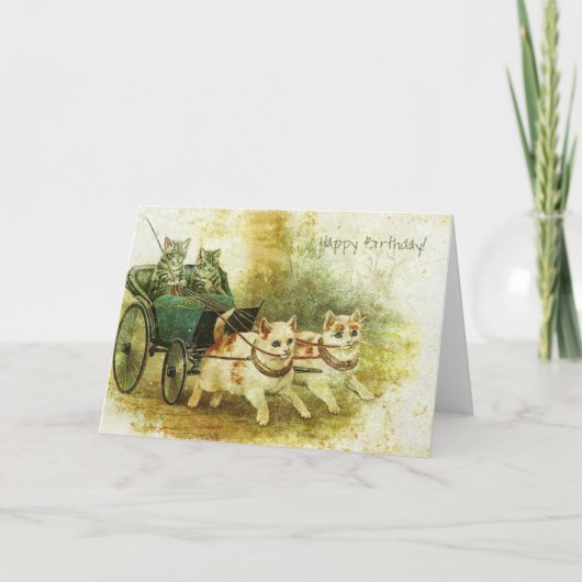  geboorte katten kaart (Voorkant)