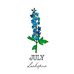 Geboorte Maand Juli Larkspur Bloem T-shirt