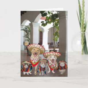 Geboortedag uit de Spaanse groep Kaart