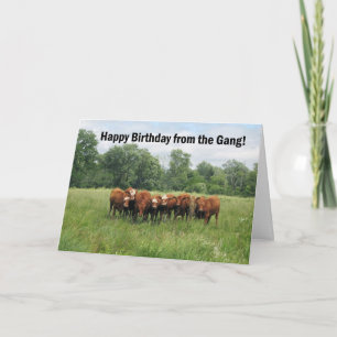 Geboortedag uit groep kaart