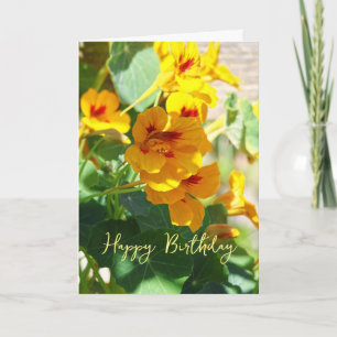 geboortedag van Nasturtium Kaart