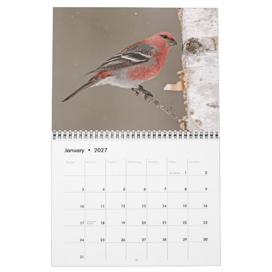 Geboortedatum 2013 kalender (Jan 2027)