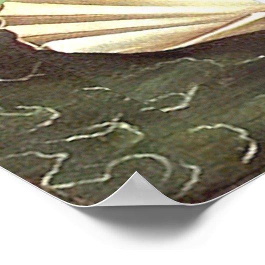 Geboorteplaats: Venus-White German Shepherd Poster (Hoek)