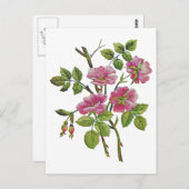 Geborduurde roze Oudengelse Rozen Briefkaart (Voorkant / Achterkant)