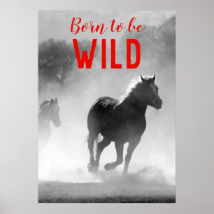 Geboren als Wilde Black en White Running Horses Poster