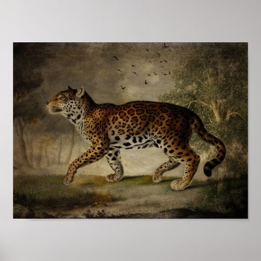 Geboren in de Roos Poster (Voorkant)