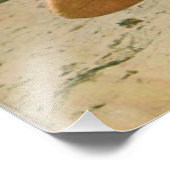 Geboren in Surf | Schattige surfen Foto Afdruk (Hoek)