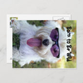 Geboren in Wilde Briefkaart (Voorkant / Achterkant)