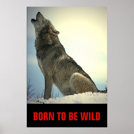 Geboren om Wild Motivatie Wolf Howling Moon te zij Poster (Voorkant)