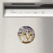 Geboren om wild te worden magneet (Insitu (Vaatwasser))