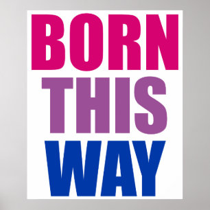 Geboren op deze manier Biseksuele Bi trots LGBTQ Poster