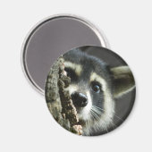 Gebost Magneet (Voorkant / Achterkant)