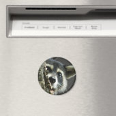 Gebost Magneet (Insitu (Vaatwasser))