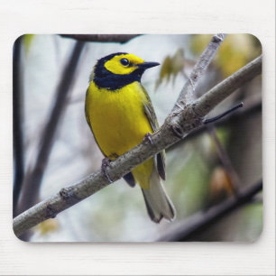 Geboste Warbler Mousepad Muismat