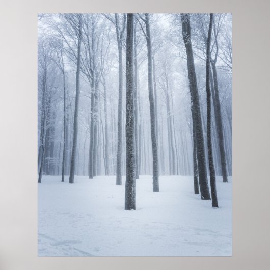 Geboste winterbos poster (Voorkant)