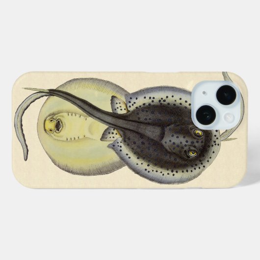 gebottelde Stingrays, zeedieren Case-Mate iPhone Case (Achterkant (horizontaal))