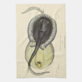 gebottelde Stingrays, zeedieren Theedoek (Verticaal)