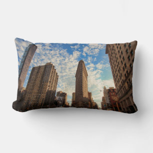Gebouw Flatiron in NYC, brede weergave, pluizige w Kussen