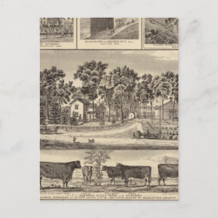 Gebouwen van het Boerderij van de Clenona-eilanden Briefkaart