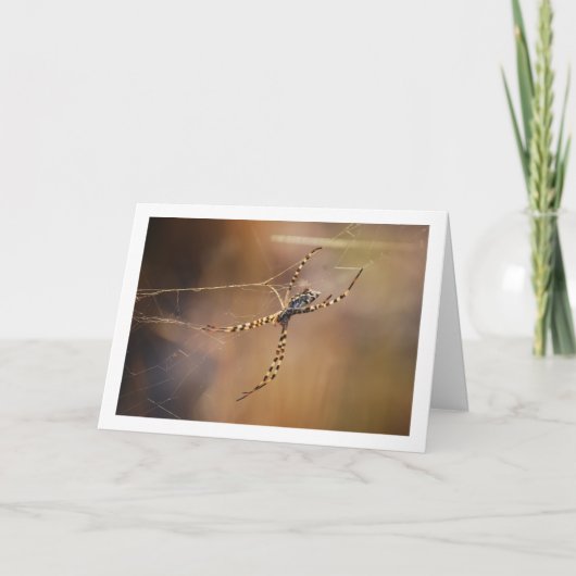 Gebrandmerkte weverspin kaart (Voorkant)
